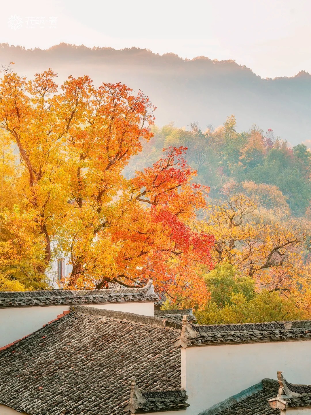 被《国家地理》评为皖南最美古村的秋天有绝_6_花筑奢_安徽徽州-来自52tours 我爱旅游网